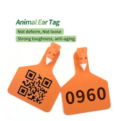 Top 10 dostawców zawieszek do uszu na świecie 2025